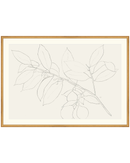 Lemon Branch Drawing