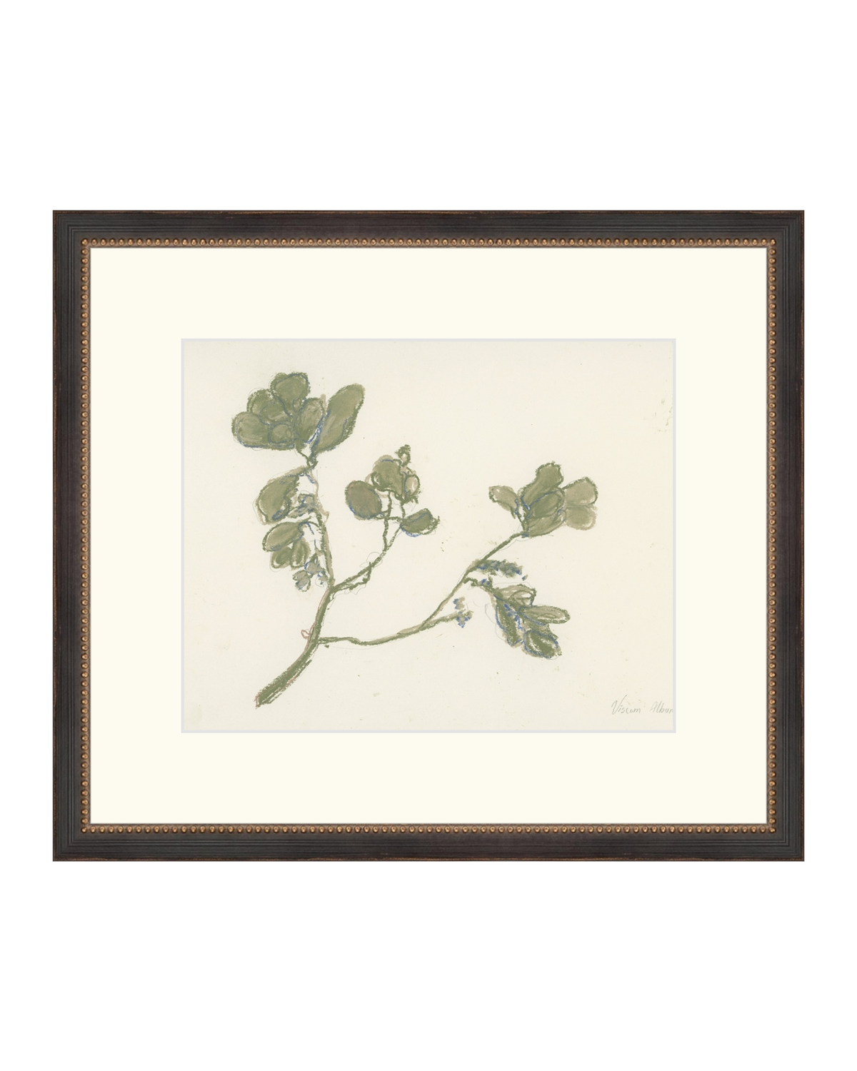 Pastel Mistletoe, photo 13 of 28