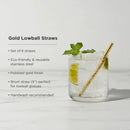 Belmont Lowball Straws Set of 6 by Viski
