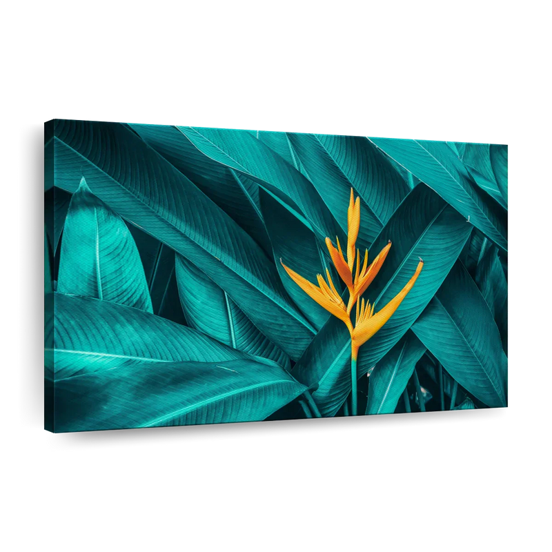 Exotic Tropical Bird Of Paradise Wall Art