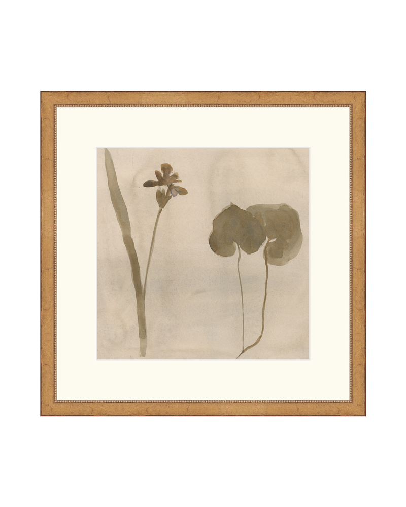 Botanical Thoughts II