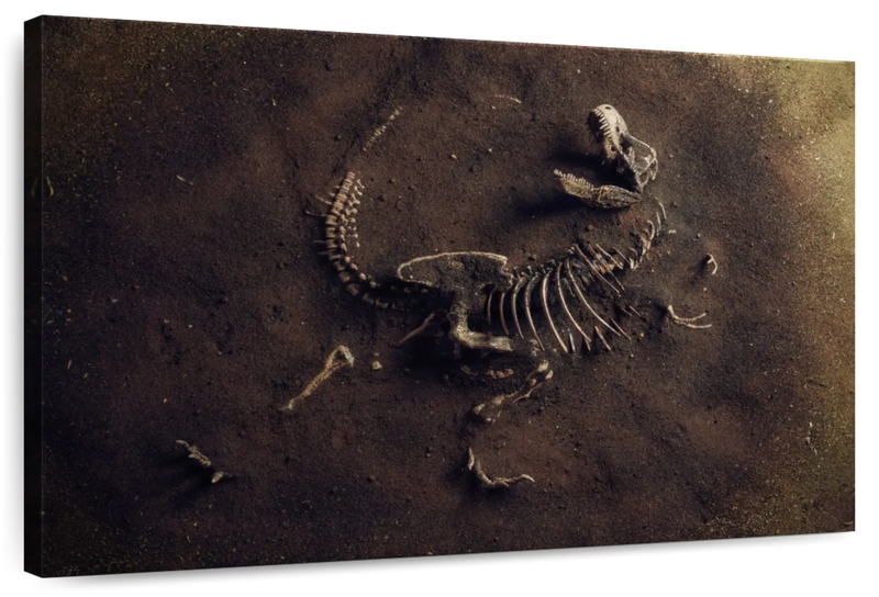 Dinosaur Skeleton Wall Art