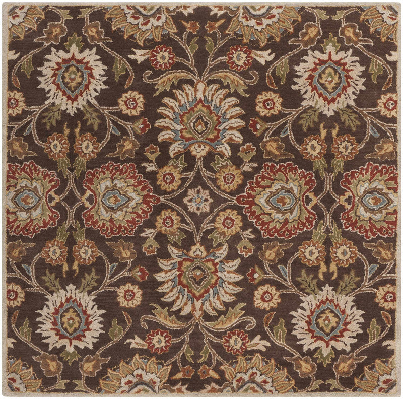 Conesus Hand Tufted Brown 1051 Area Rug