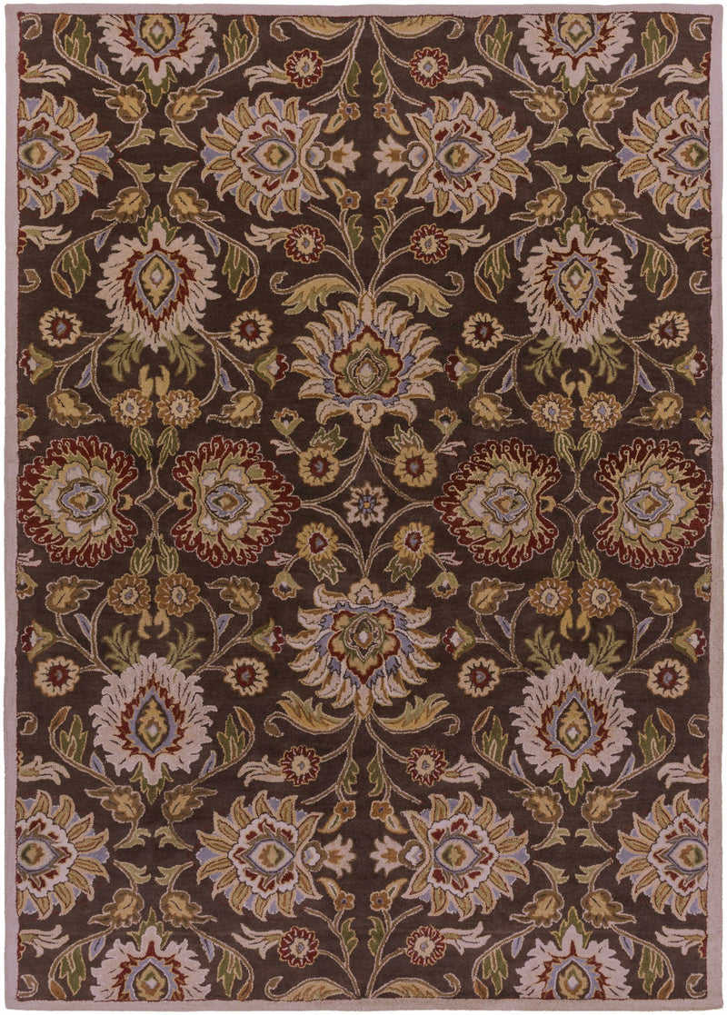 Conesus Hand Tufted Brown 1051 Area Rug