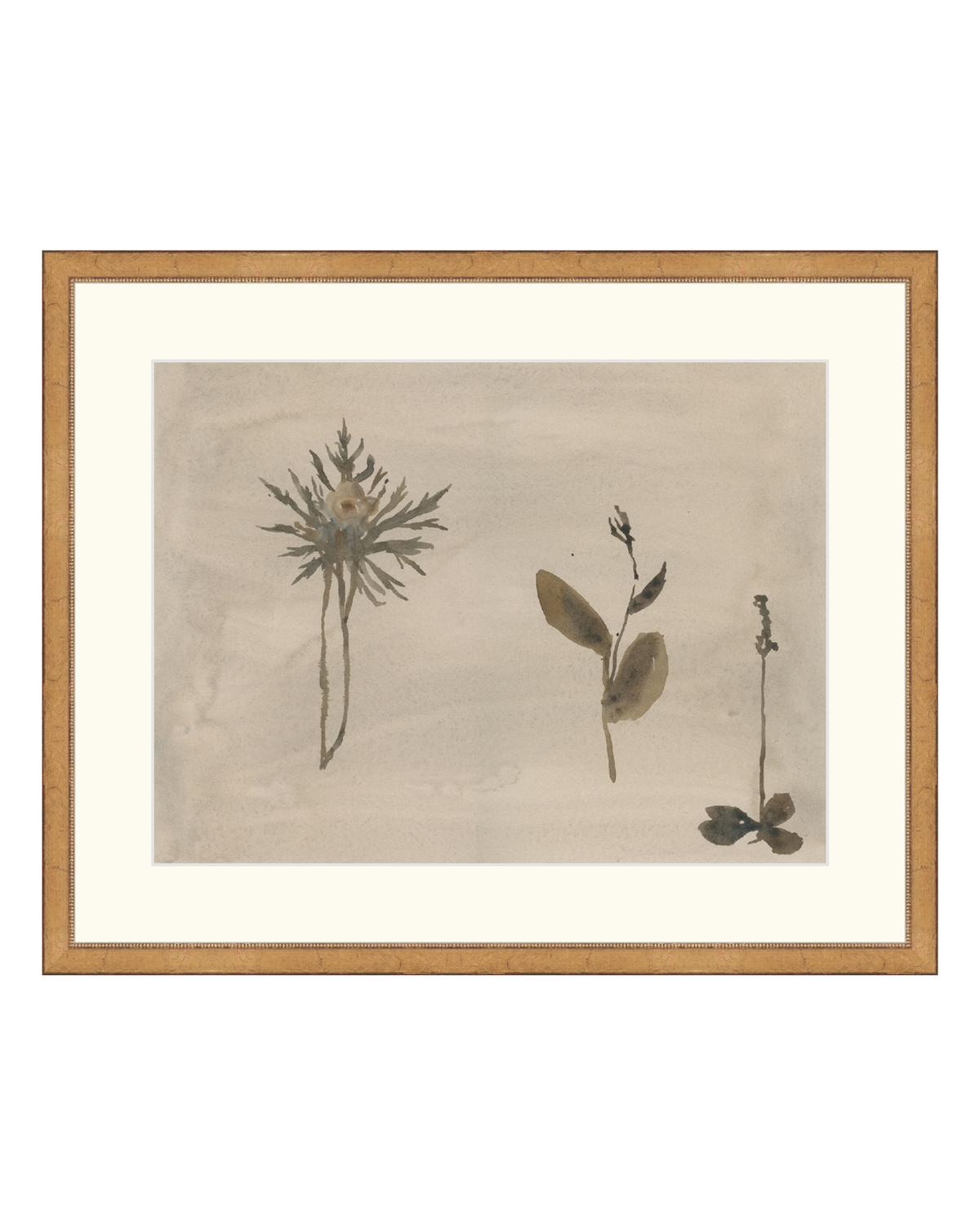 Botanical Thoughts IV, photo 19 of 25