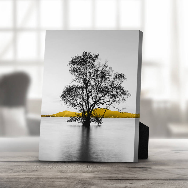 Yellow Splash B Desktop Canvas