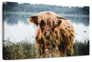 Lakeside Highland Cow Wall Art
