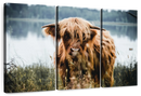 Lakeside Highland Cow Wall Art