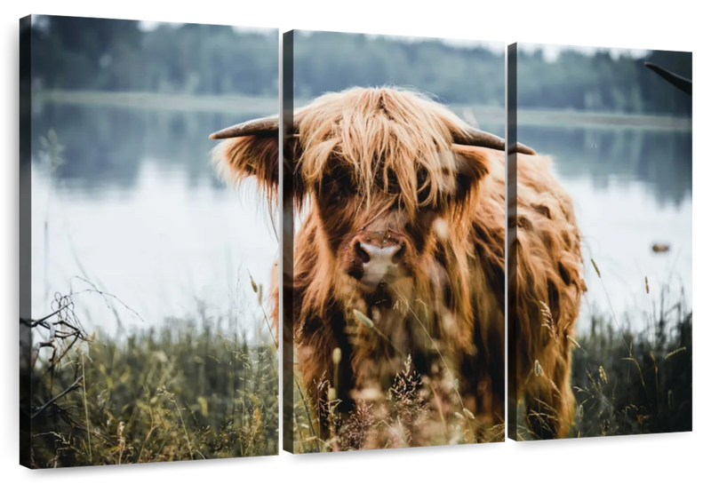 Lakeside Highland Cow Wall Art