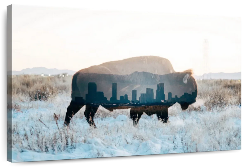 Bison And Skyline Wall Art