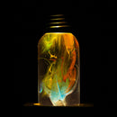EP LIGHT Gift Set - 3-Pack LED Bulbs by EP Designlab LLC
