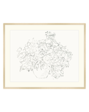 Vase of Flowers Sketch