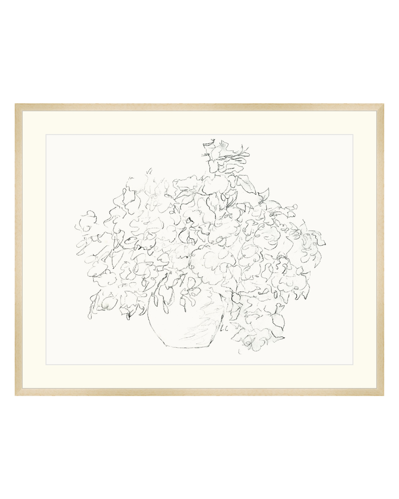 Vase of Flowers Sketch