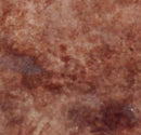 Z Aqua-Stain UV