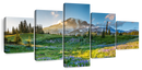 Springtime At Mount Rainier Wall Art