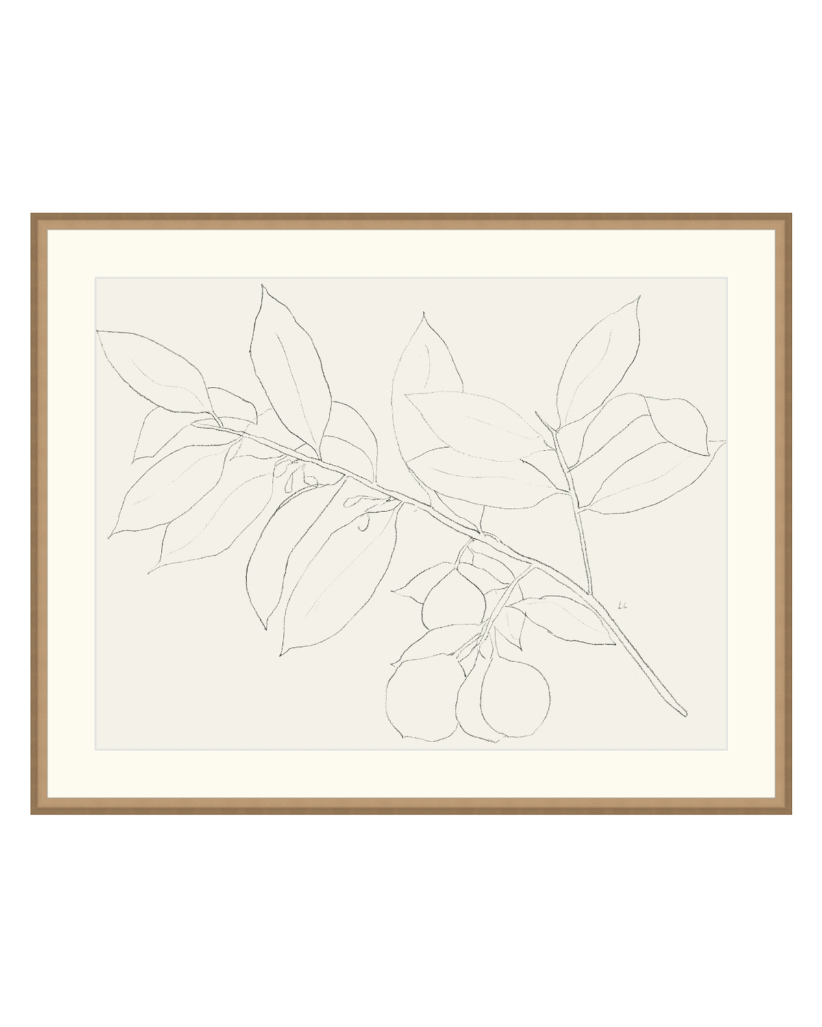 Lemon Branch Drawing, photo 8 of 42