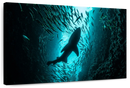 Shark Depth Wall Art