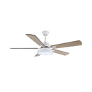 Zepyra Modern Industrial Style Ceiling Fan Light