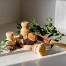 Zero Waste Dish Brush Kit by ZeroWasteStore.com