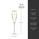 Gold-Rimmed Crystal Champagne Flutes Set of 2 by Viski