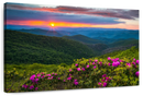 Blue Ridge Flowers Wall Art