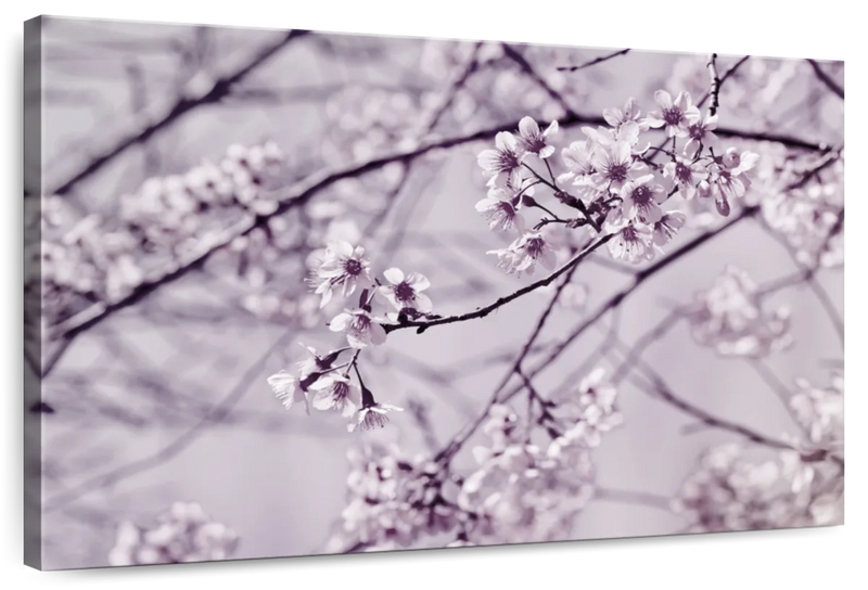 Pastel Sakura Wall Art