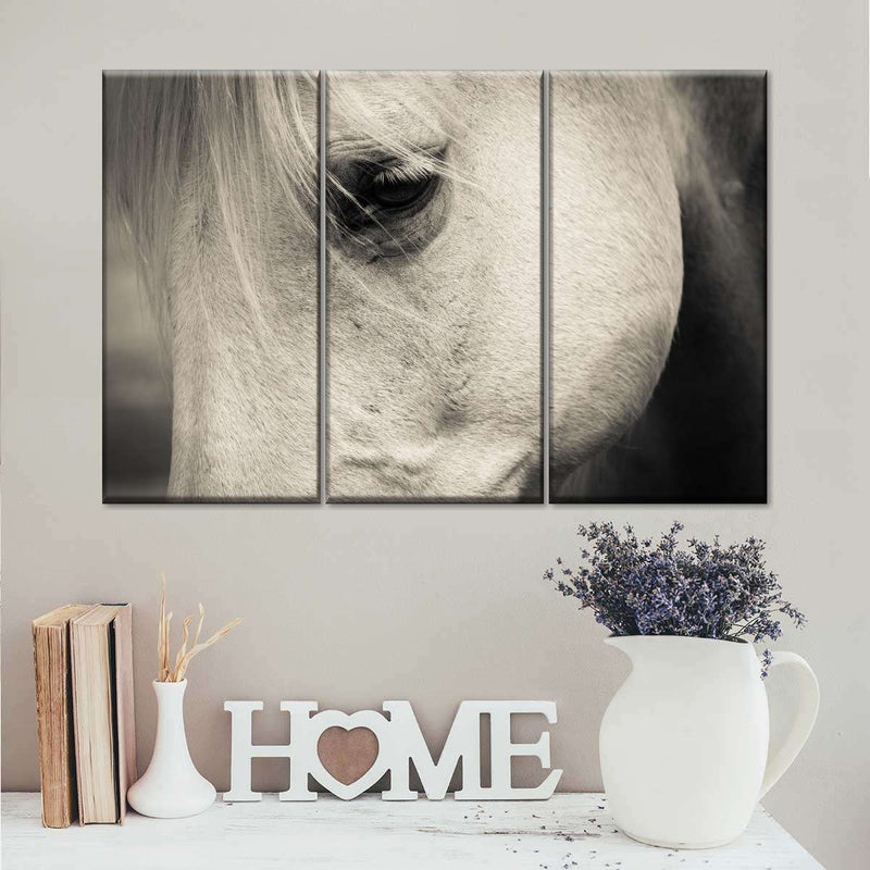 White Horse Eye Wall Art