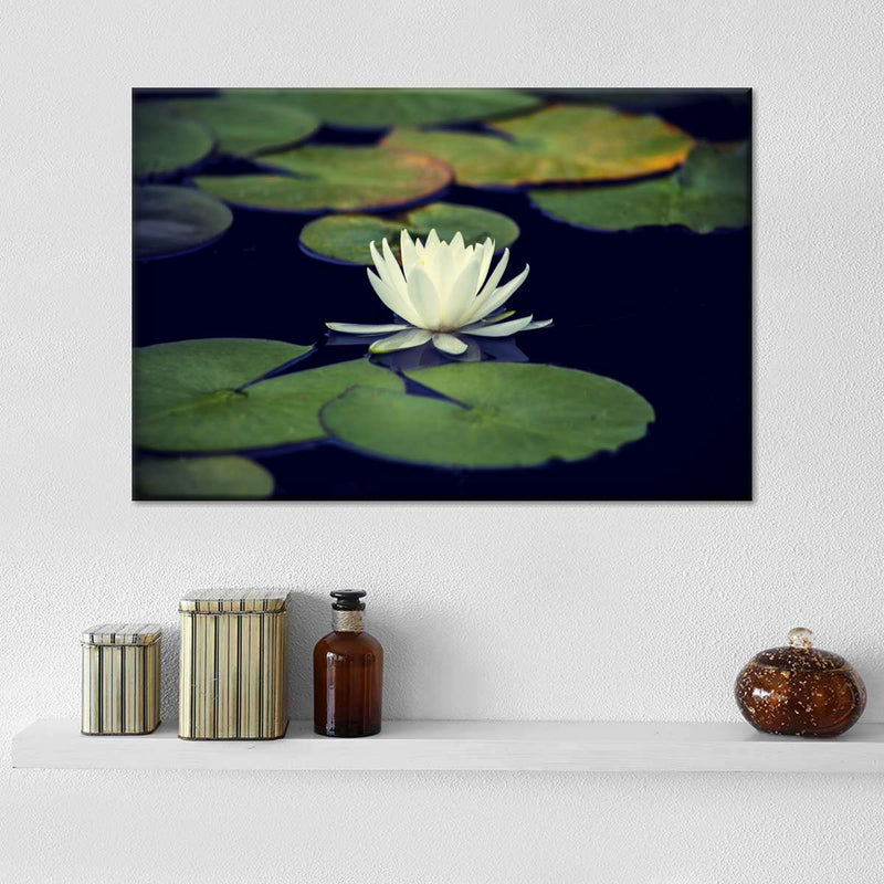 Lotus And Leaves Wall Art