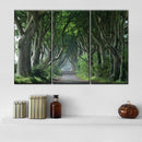 Dark Hedges Wall Art