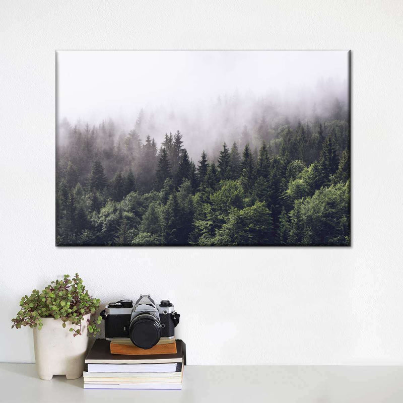 Hazy Pine Forest Wall Art