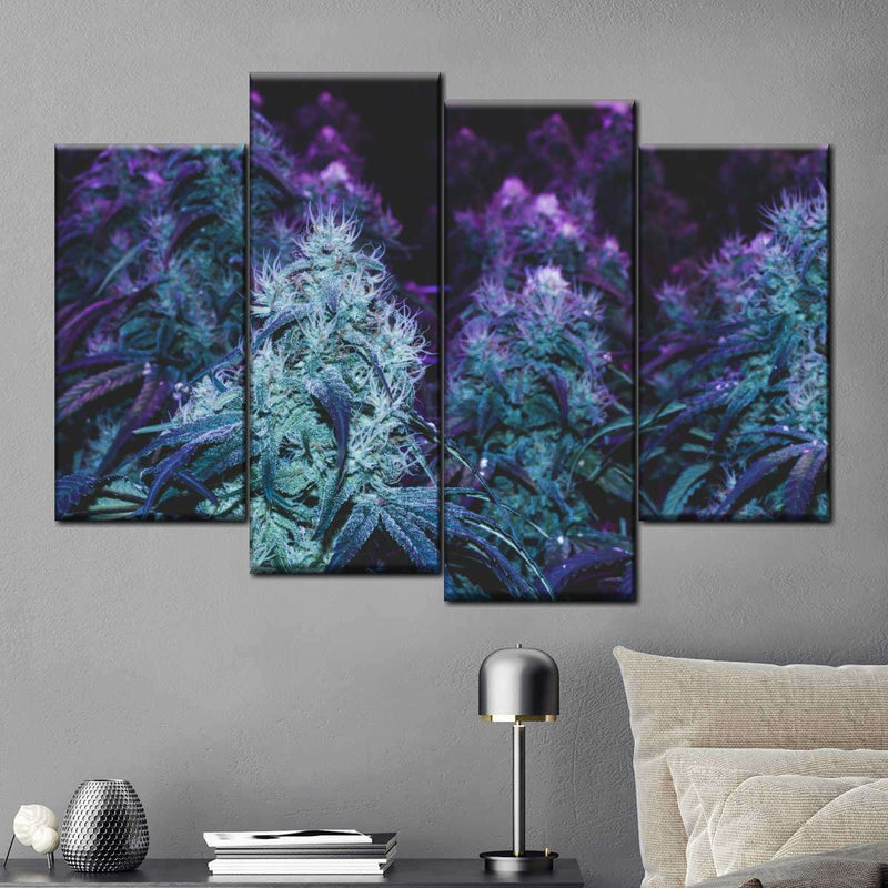 Flowering Purple Cannabis Wall Art