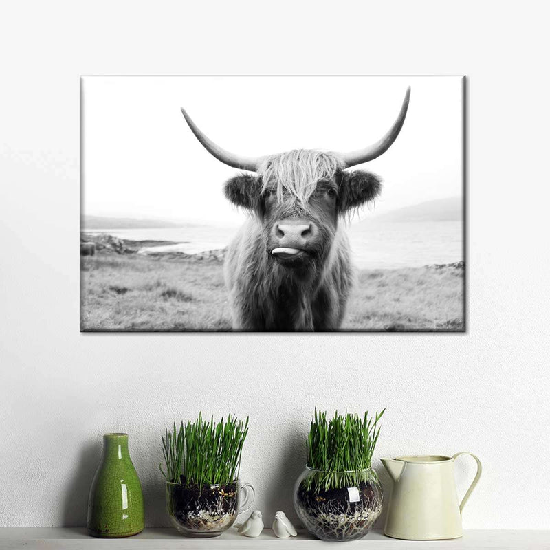 Funny Highland Cow Wall Art