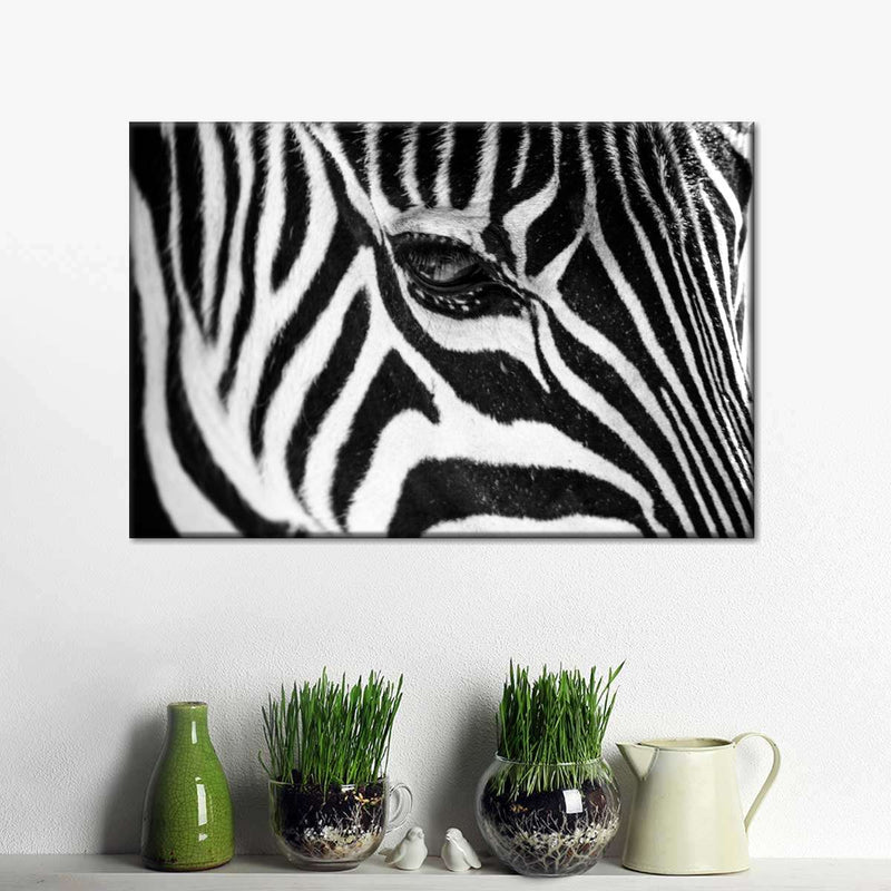 Zebra Eye Wall Art