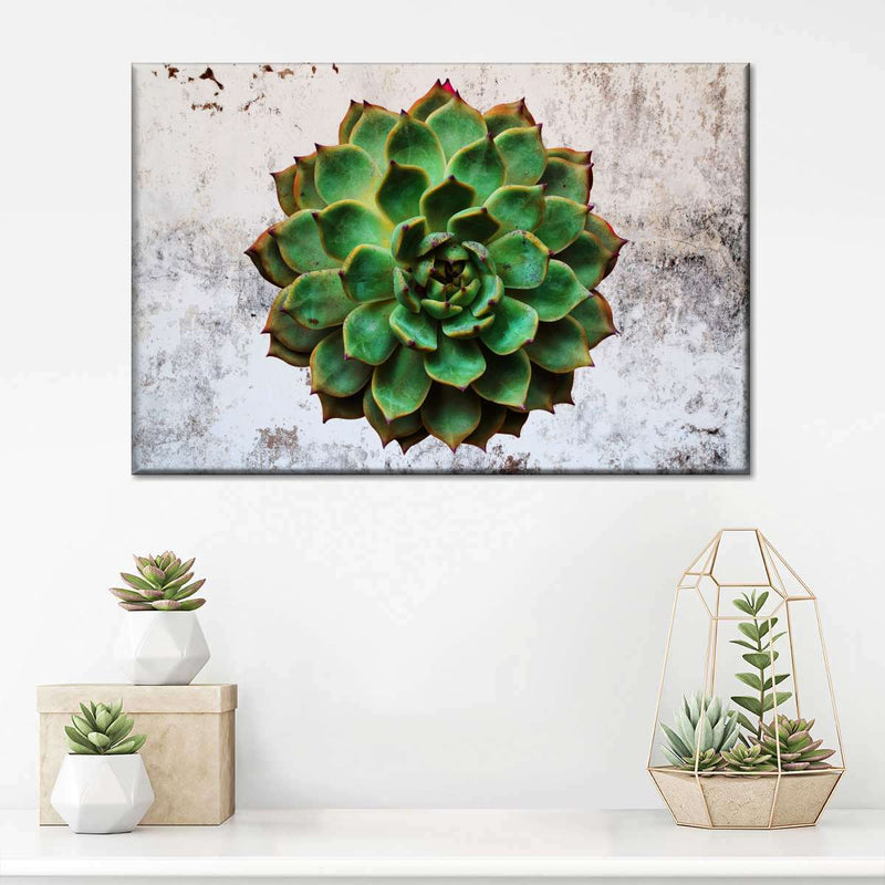 Grunge Succulent Wall Art