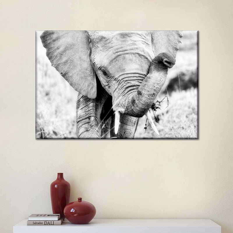 Kenyan Baby Elephant Wall Art