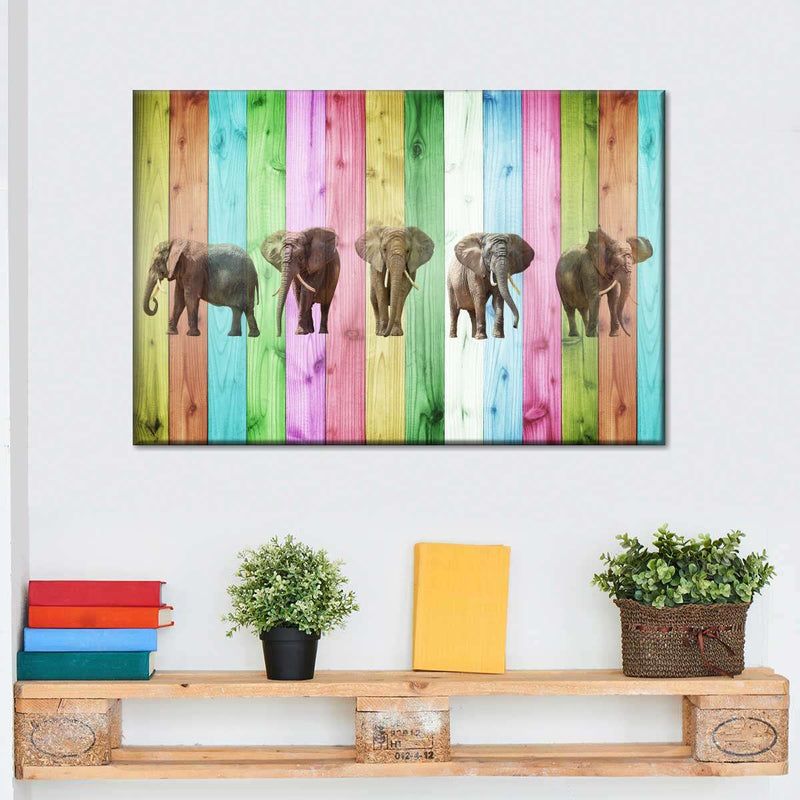 Color Stripe Elephants