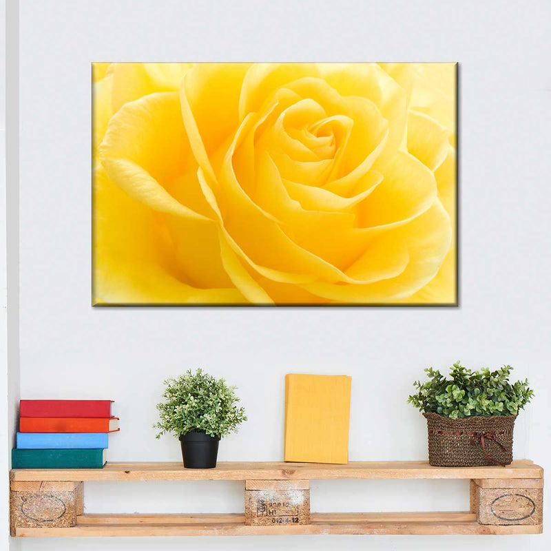 Yellow Rose Petals Wall Art