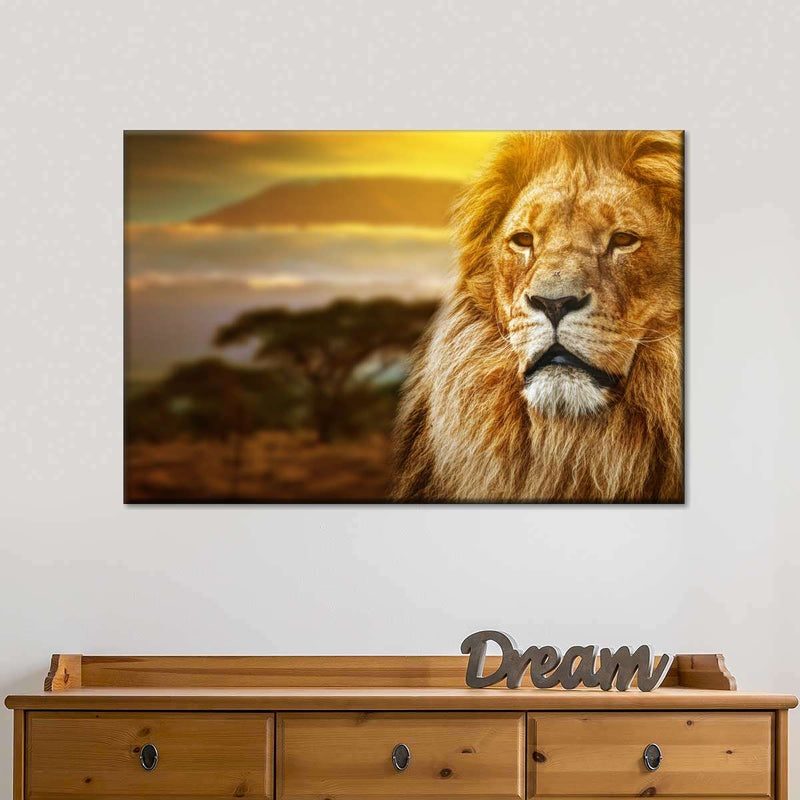 Lion In African Safari Wall Art