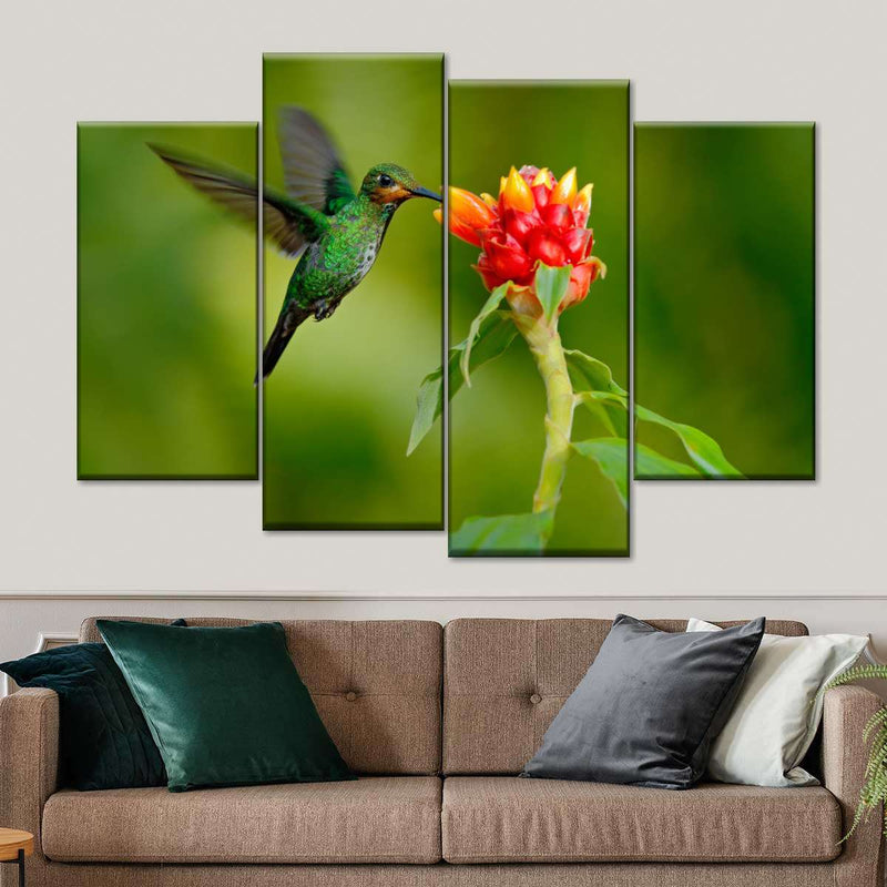 Flower And Green Hummingbird Wall Art