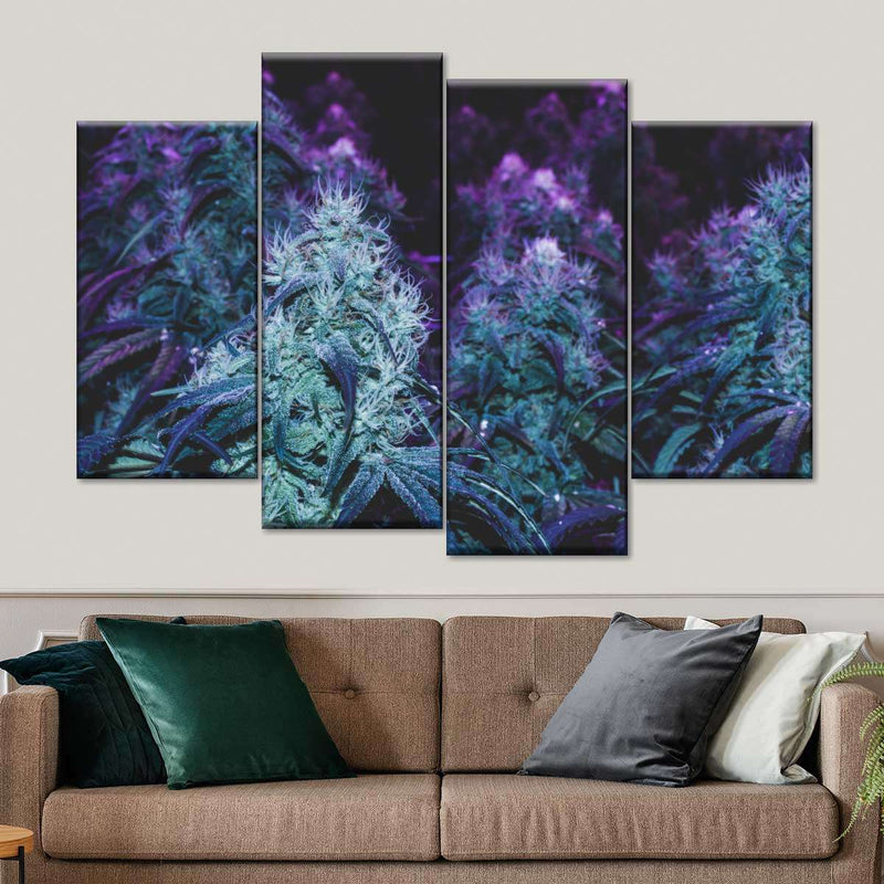 Flowering Purple Cannabis Wall Art