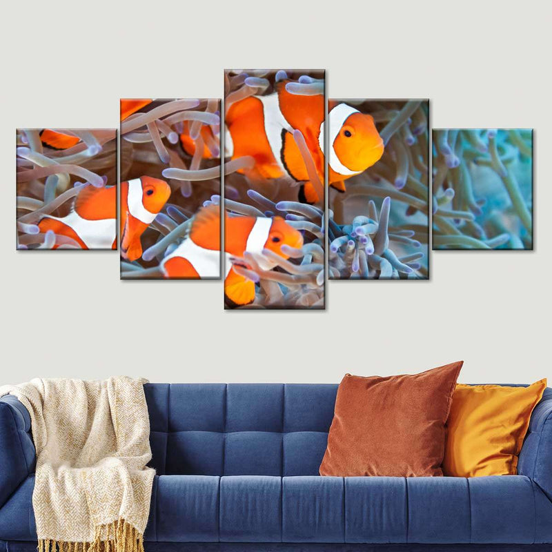 Clown Fish Wall Art