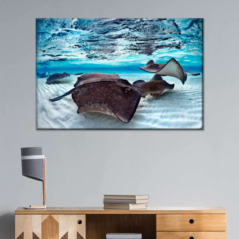 Stingrays Sea Life Wall Art