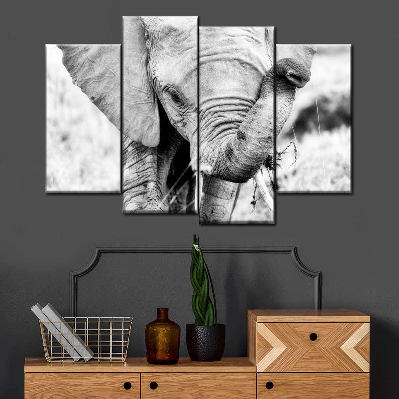 Kenyan Baby Elephant Wall Art