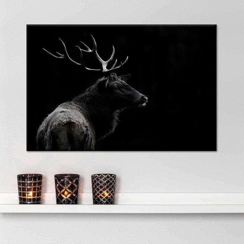 Monochrome Bull Elk Wall Art