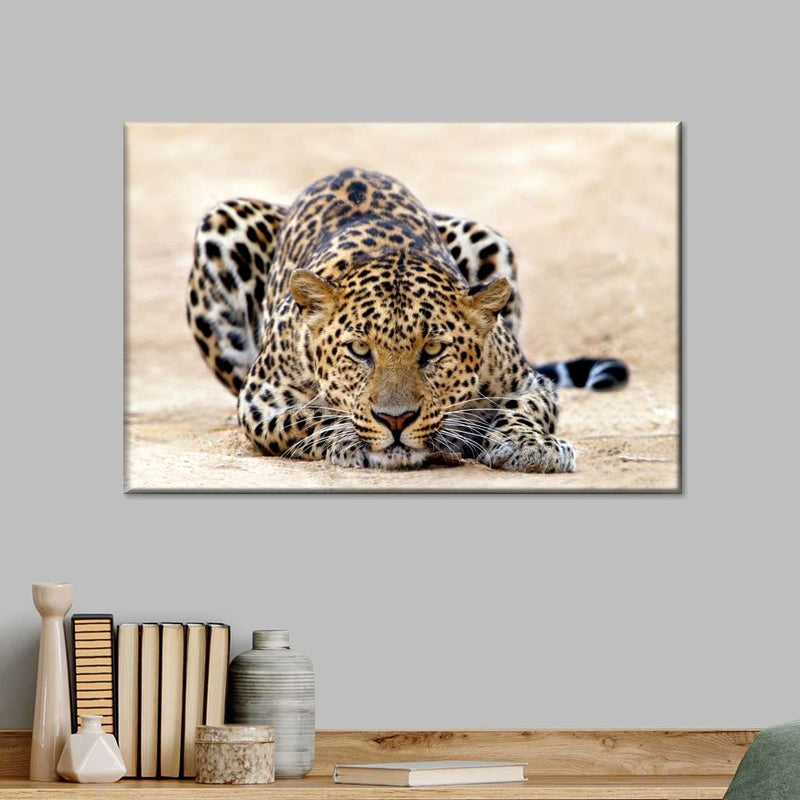 Watchful Jaguar Wall Art