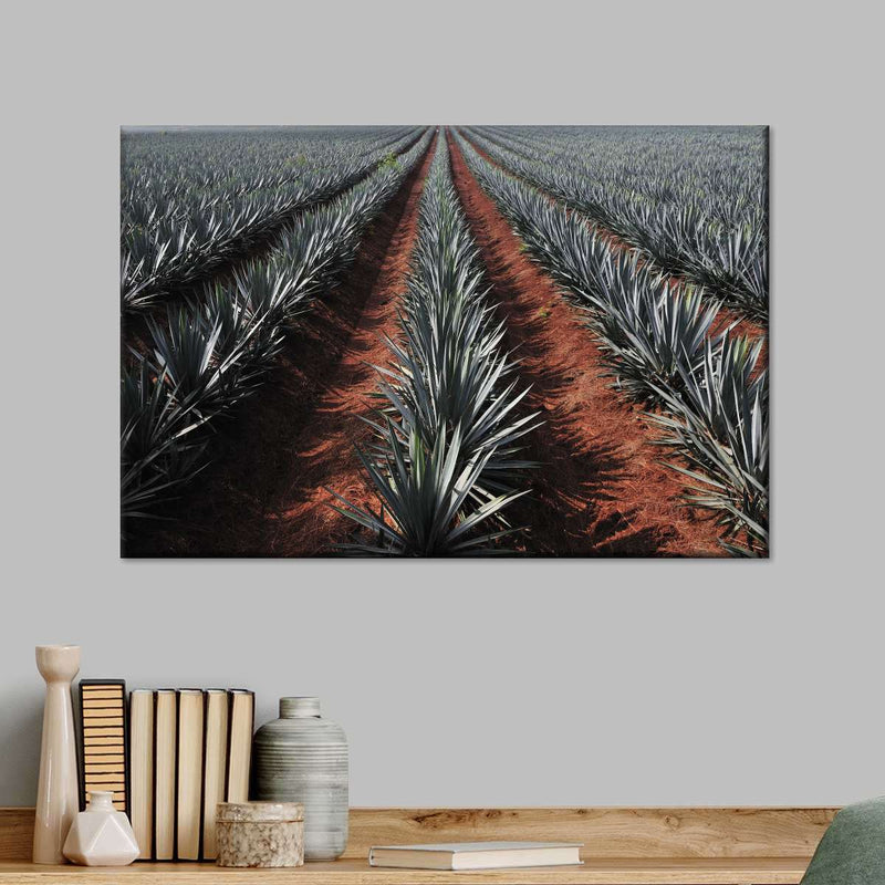 Agave Field Wall Art