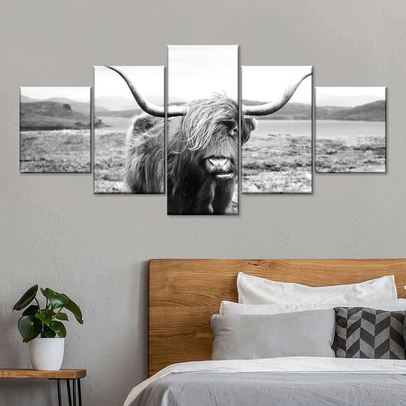 Highland Bull Wall Art