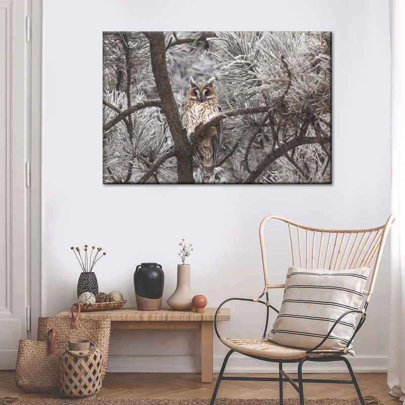 Great Horned Owl Wall Art