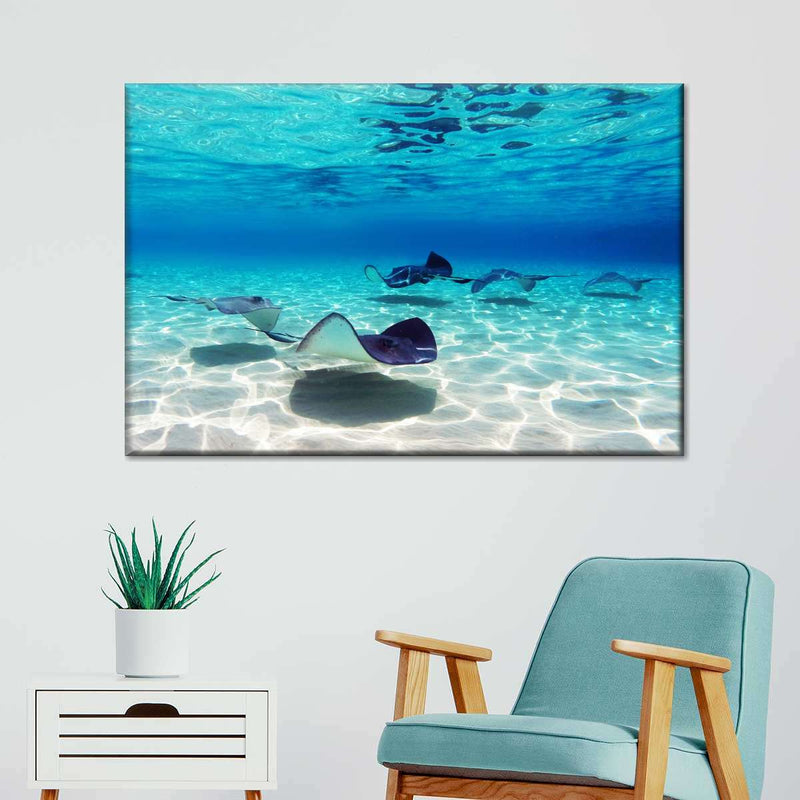 Grand Cayman Stingrays Wall Art