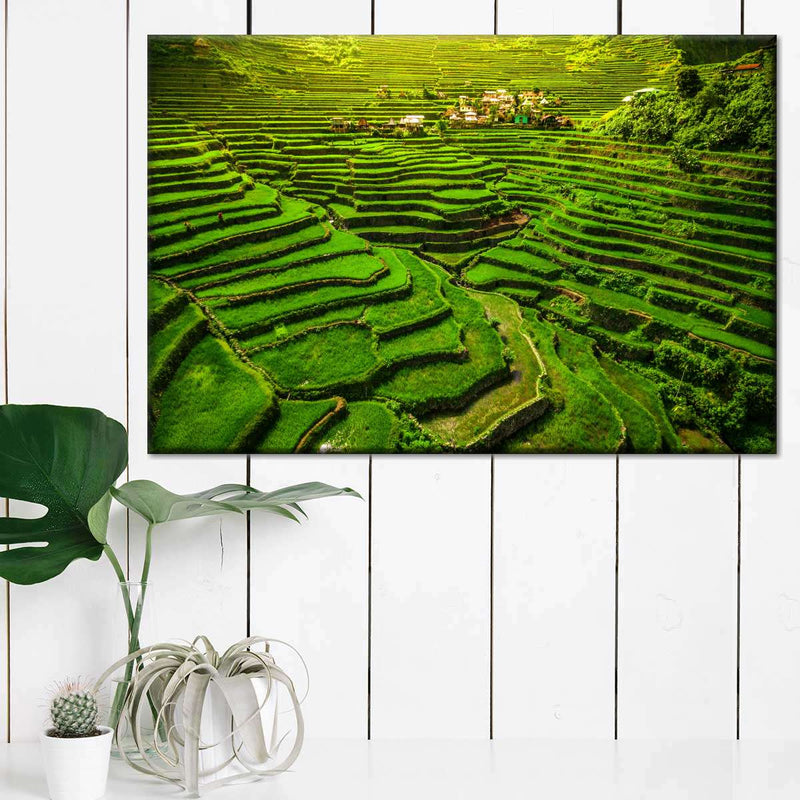 Historic Ifugao Rice Terraces Wall Art